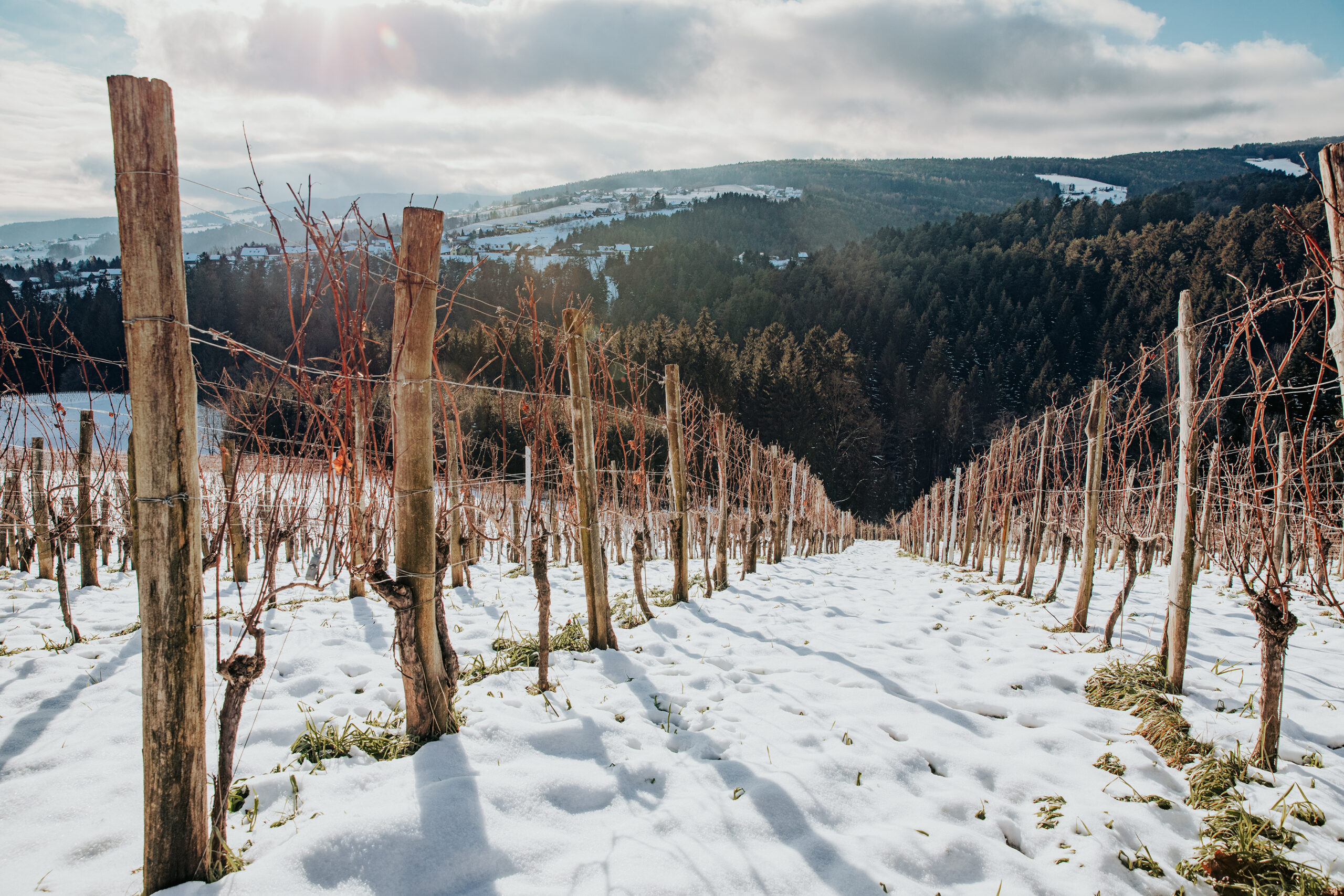 Südsteiermark im Winter