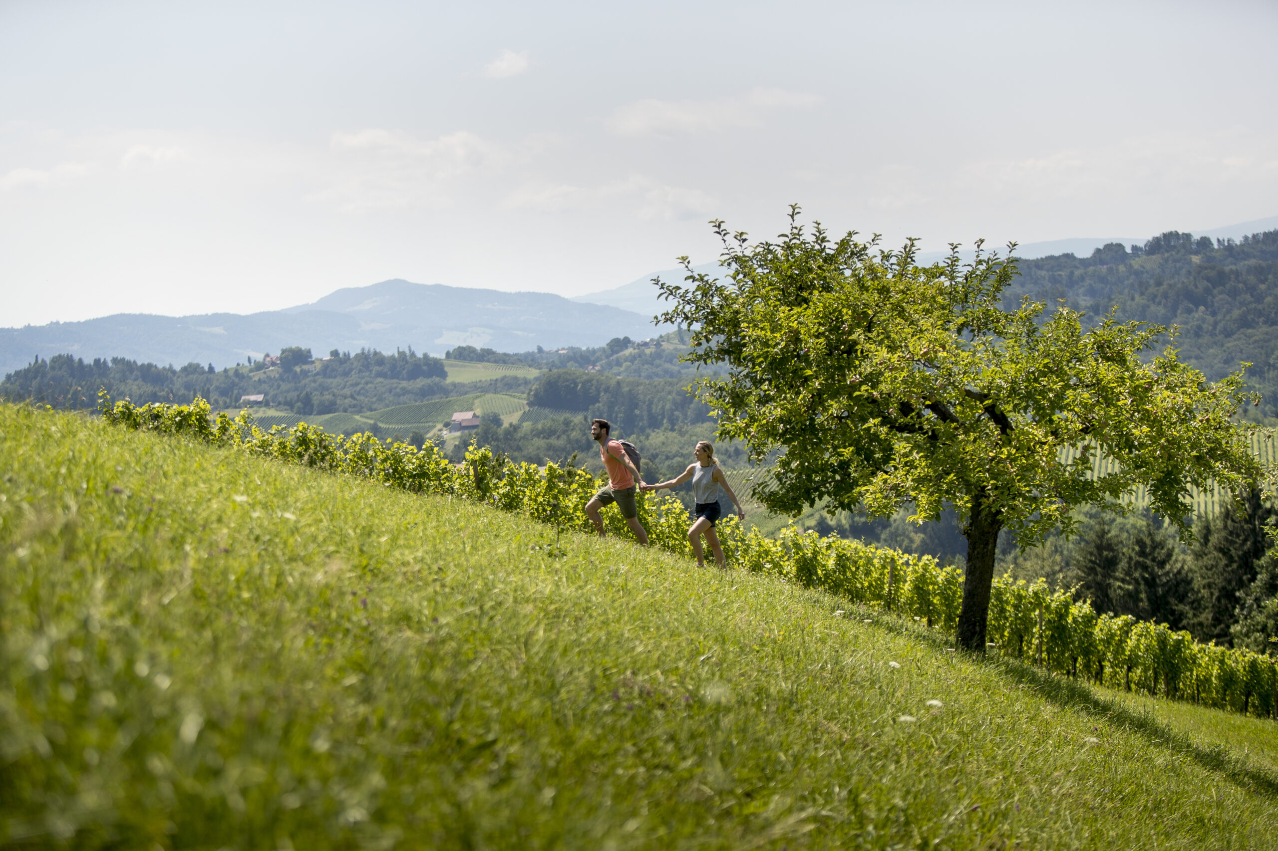 Wandern in der Südsteiermark