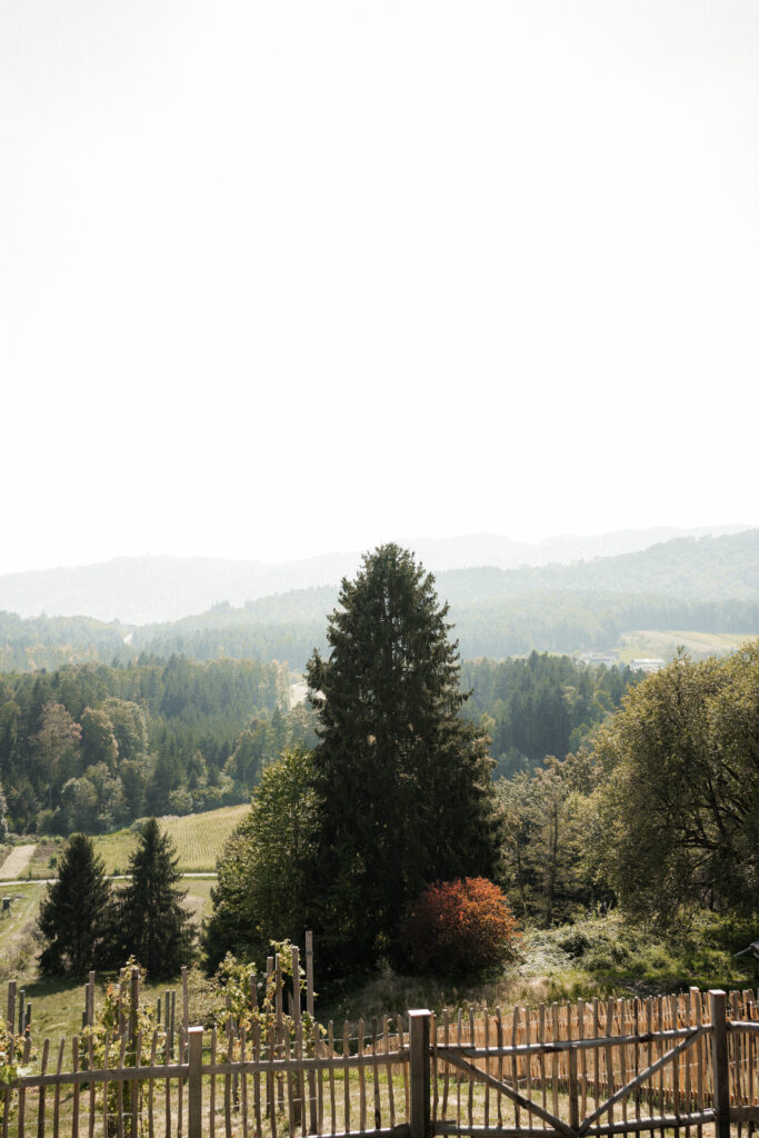 Natur pur zum Spazierengehen