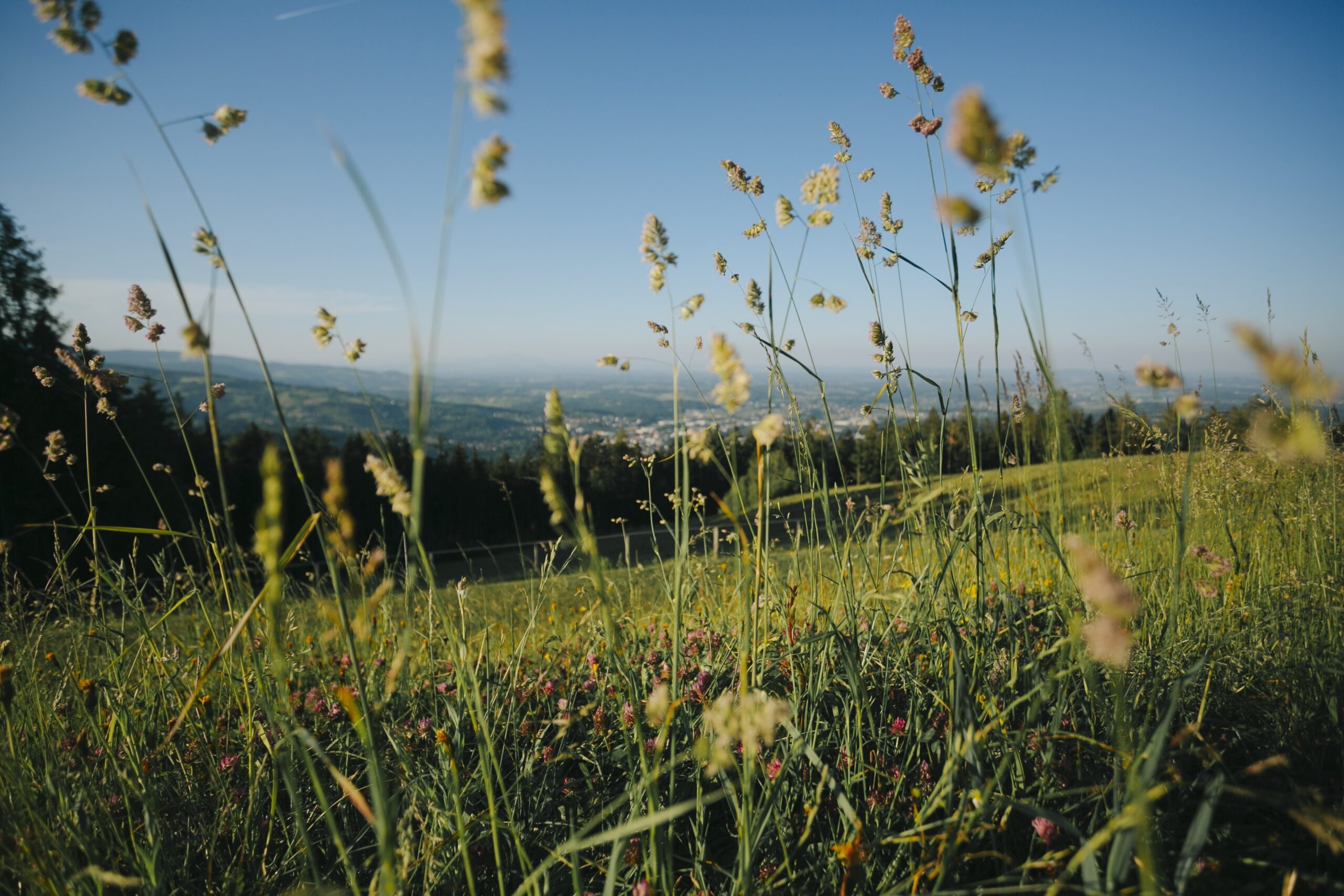 Südweststeiermark Hügelland