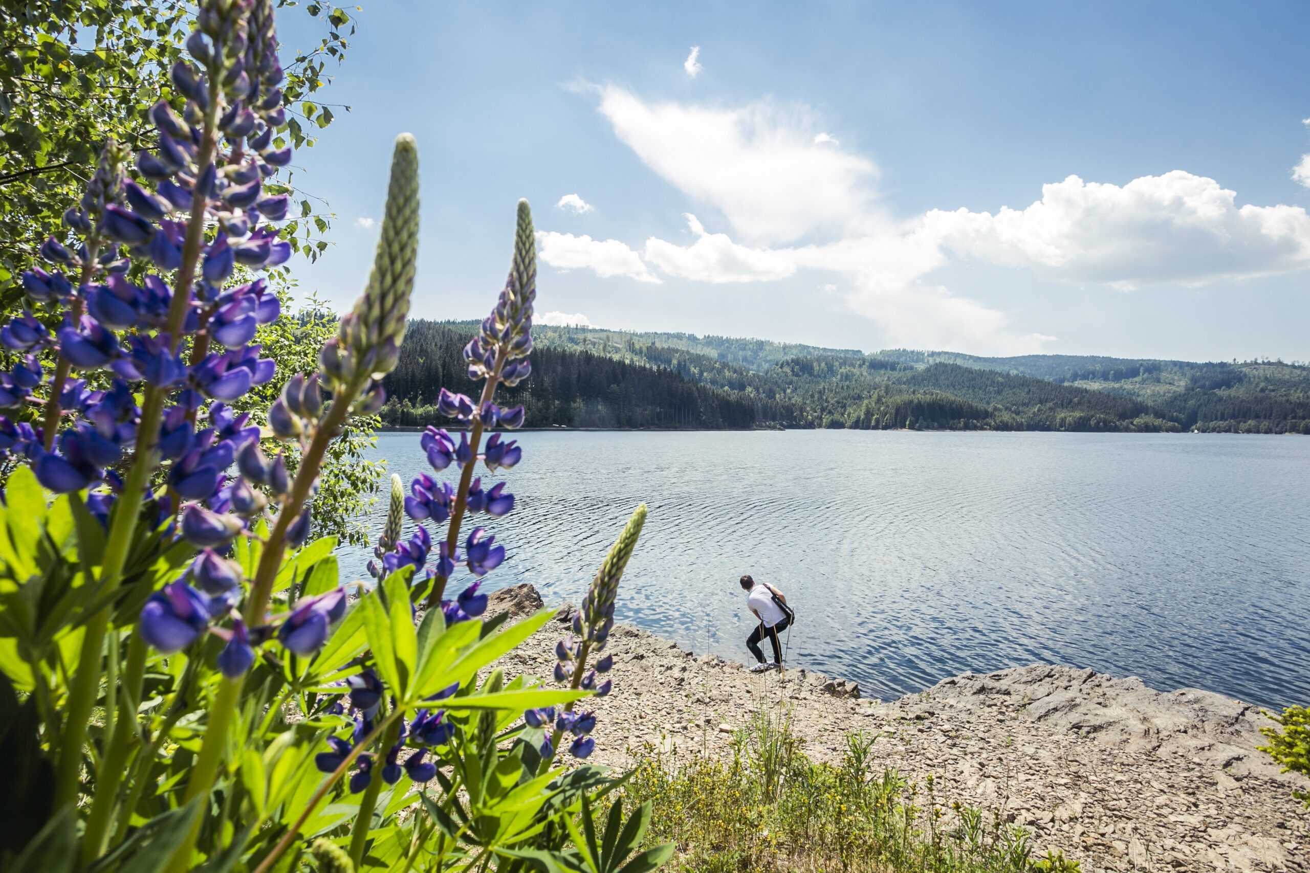 Bademöglichkeit für Hund - Soboth Stausee