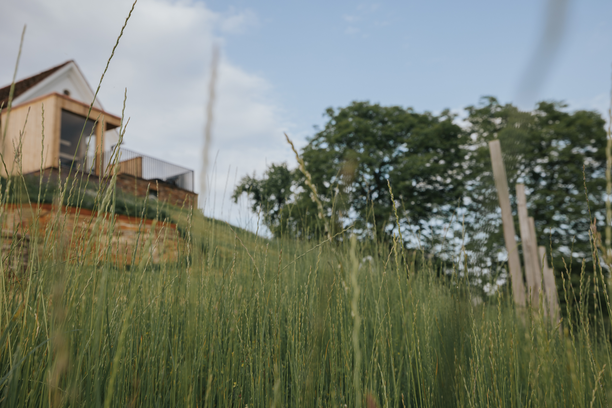 Am Wildbachberg -Ferienhäuser Südsteiermark